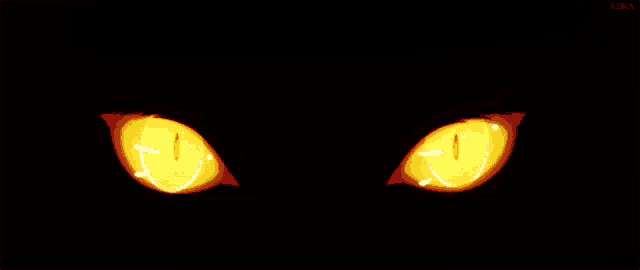 a close up of a pair of yellow eyes with the letters rika on the bottom left