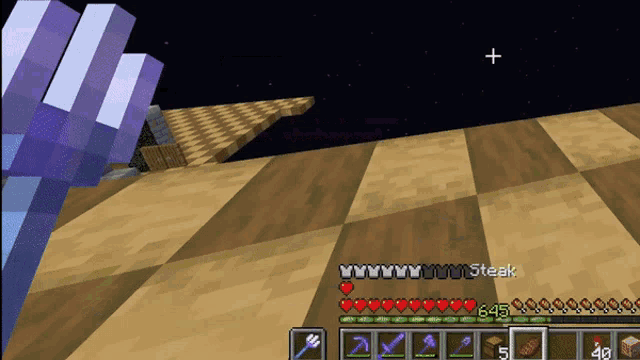 a screenshot of a minecraft game with the name steak on the top left
