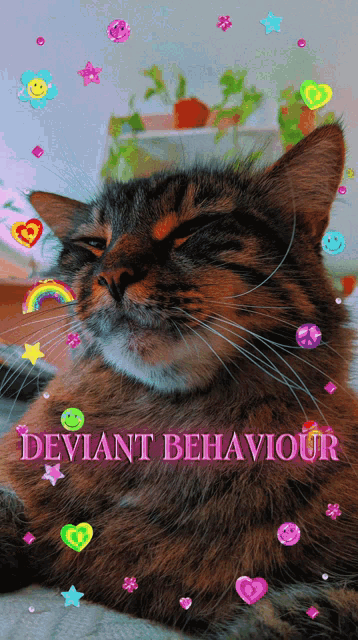 Deviant Behaviour Behavior GIF - Deviant Behaviour Behavior Bad Kitty GIFs