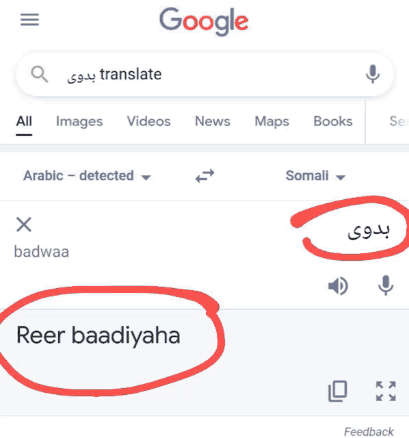 a screenshot of a google search for translate with a red circle around the word reer