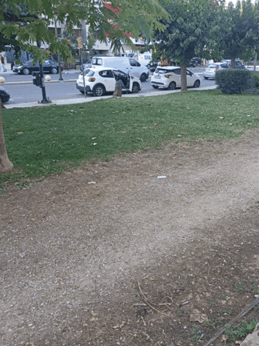 a park with a lot of cars parked on the side of it