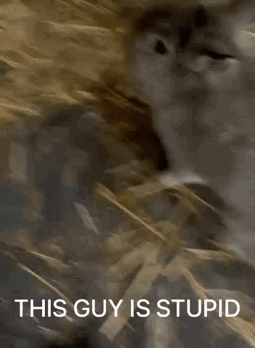 a close up of a person 's face with the words `` this guy is stupid '' written above it .