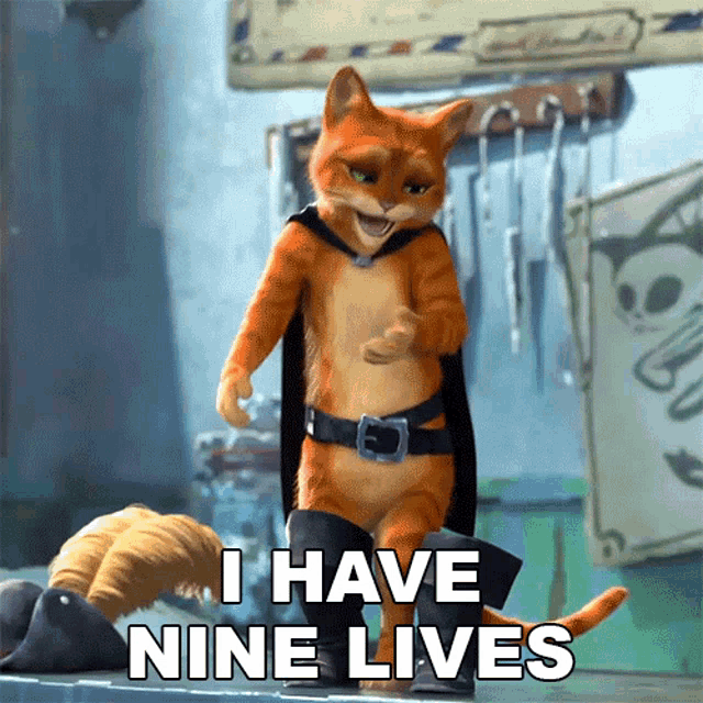 I Have Nine Lives Puss GIF - I Have Nine Lives Puss Puss In Boots The Last Wish GIFs