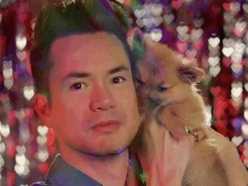 Panic At The Disco Pup GIF - Panic At The Disco Pup Puppy GIFs