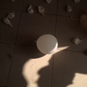 The Futile Fight Of A Dying Balloon GIF - Ballloon GIFs