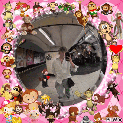 a picture of a man taking a picture of himself with monkeys around it