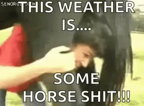 Horse Shit Poop GIF - Horse Shit Poop Funny GIFs