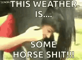 a woman is petting a horse with a caption that says " this weather is some horse shit !!! "