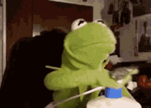 kermit the frog is holding a bottle of bleach and a hose .