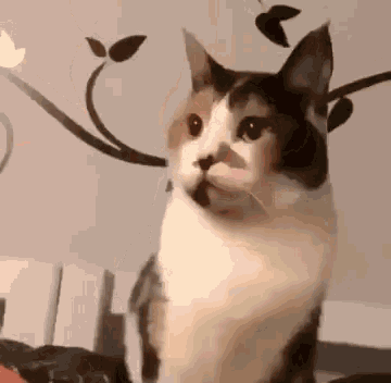 a calico cat is sitting on a couch in front of a wall with leaves on it .
