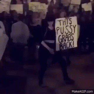 Pussygrabsback GIF - Pussygrabsback GIFs