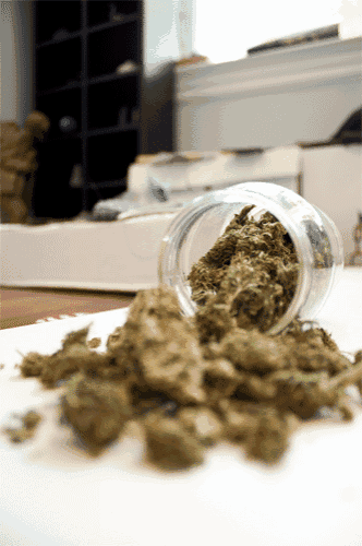 a jar of marijuana is spilling out onto the floor