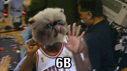 a cat wearing a 6b jersey is licking its lips