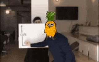 a man with a pineapple on his head holds a sign that says cats