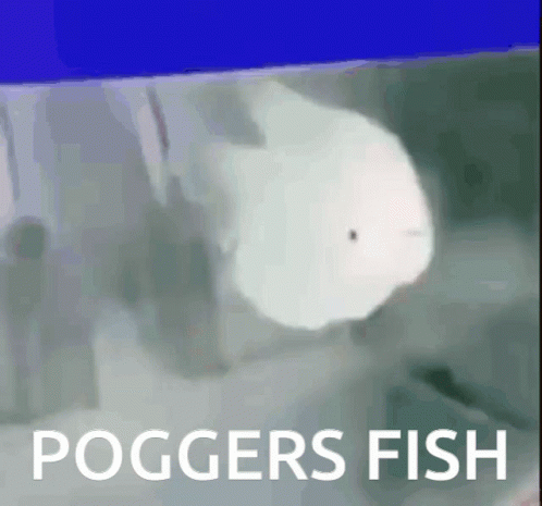 Fish Poggers GIF - Fish Poggers GIFs