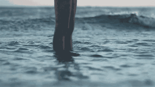 Legs Sea GIF