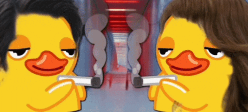a man and a woman duck are holding guns in their hands