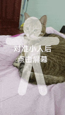 Cats Meme GIF - Cats Meme Cat GIFs