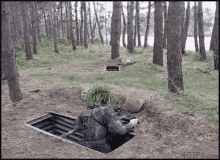 a man is sitting in a hole in the woods