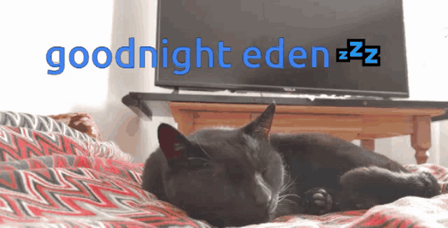 Eden Goodnight GIF - Eden Goodnight Kitty GIFs