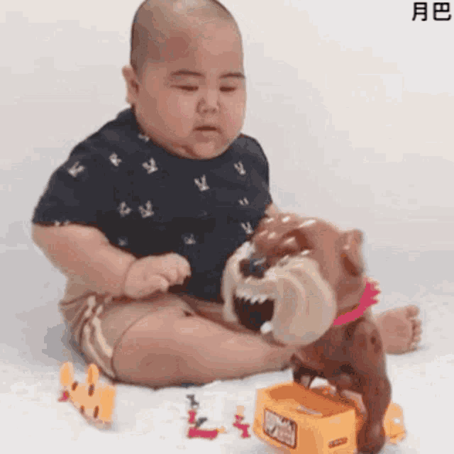 a baby is sitting on the floor playing with a toy dog ..