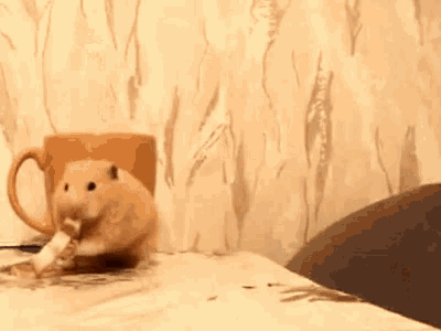 Cat Sniff GIF - Cat Sniff Hamster GIFs