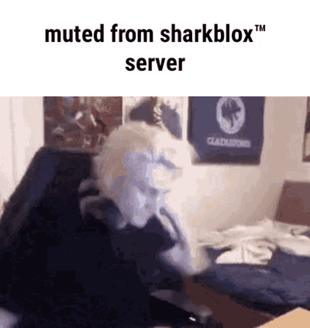 Sharkblox Discord GIF