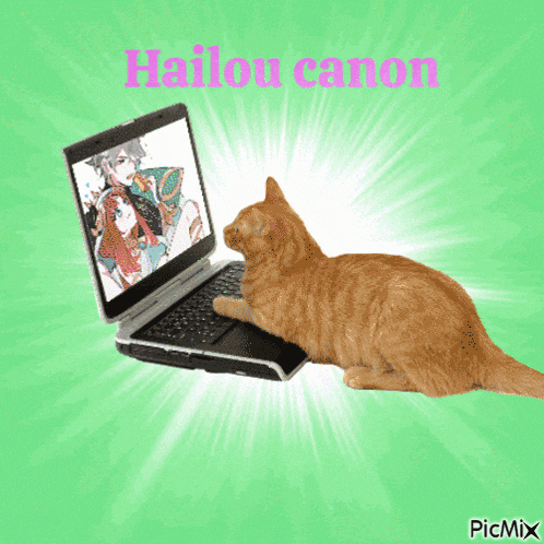 a cat is looking at a laptop that says hailou canon on the screen