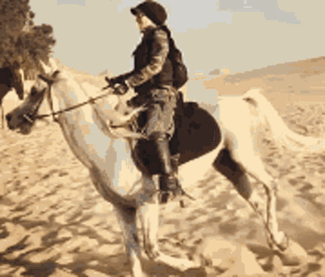 Ekram Horse Ride GIF - Ekram Horse Ride Desert GIFs