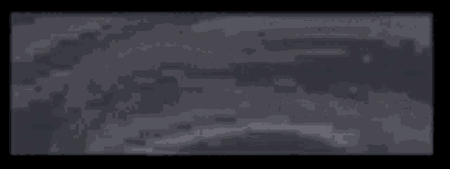 a blurred image of a discord message that says `` i love cunny boysnel '' .