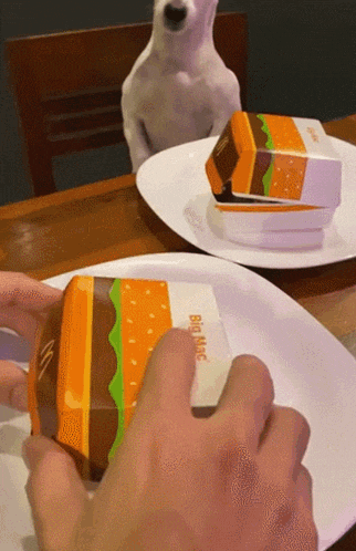 a dog looks at a mcdonald 's big mac box