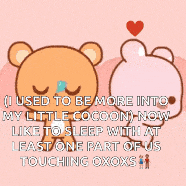 a cartoon of two teddy bears hugging with the words " i used to be more into my little cocoon " on the bottom