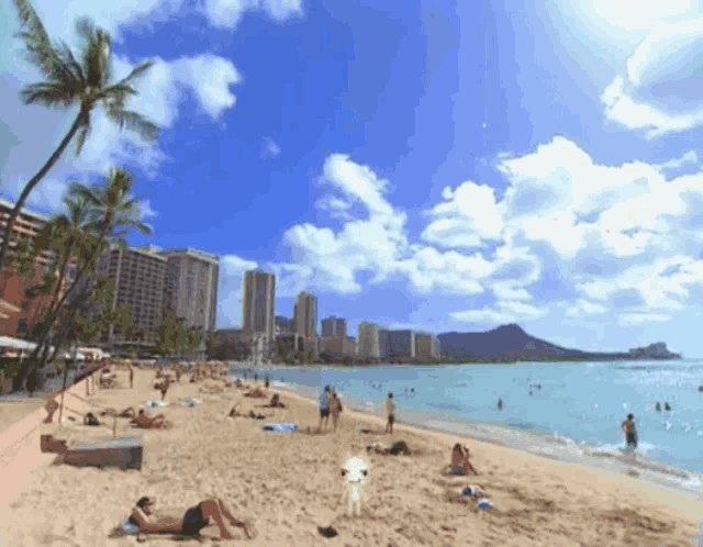 a group of people are laying on a beach with palm trees in the background