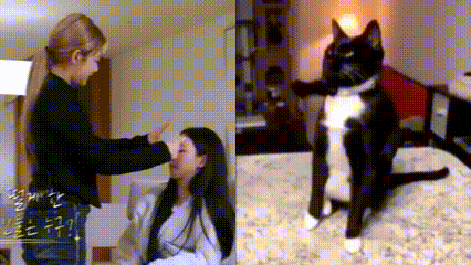 a woman is petting a black and white cat while another woman looks on .