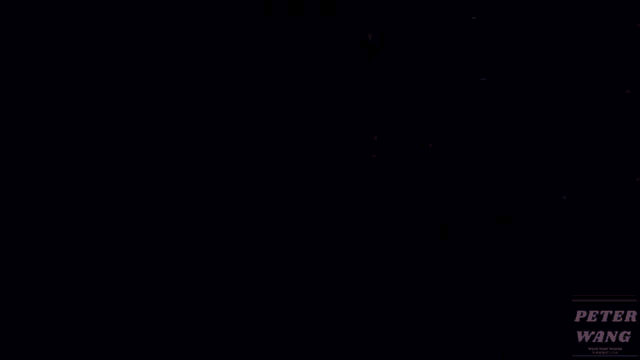 a picture of a lion on fire with the name peter wang on the bottom right