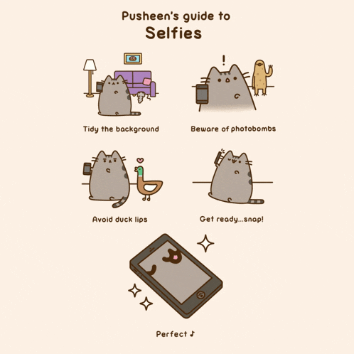 pusheen 's guide to selfies includes avoiding duck lips and getting ready snap