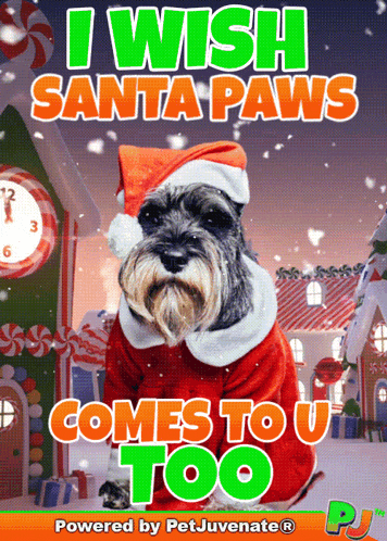 a picture of a dog dressed as santa claus with the caption " i wish santa paws comes to you too "