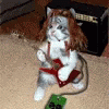 Cats Play GIF - Cats Play Guitar GIFs