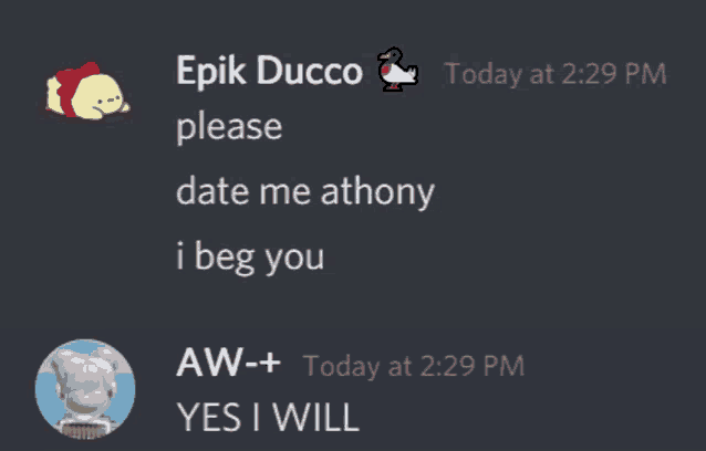 a screenshot of a discord conversation between epic ducco and aw-plus