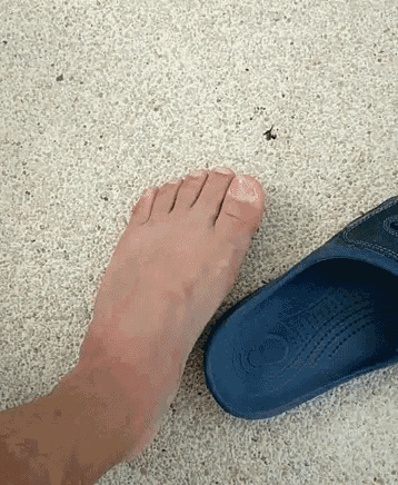 Toes GIF - Toes GIFs