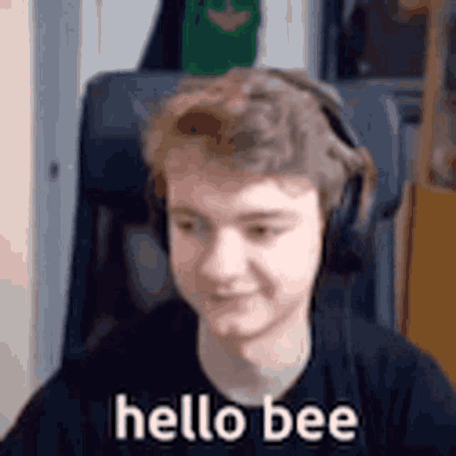 Bee Hello GIF - Bee Hello Hellobee GIFs