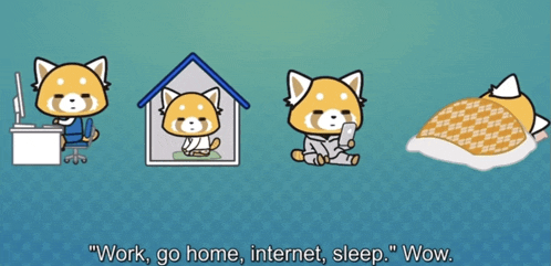 a cartoon of a cat with the words work go home internet sleep wow