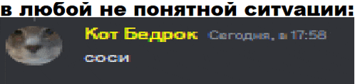 a screenshot of a text message in russian with a picture of a hamster