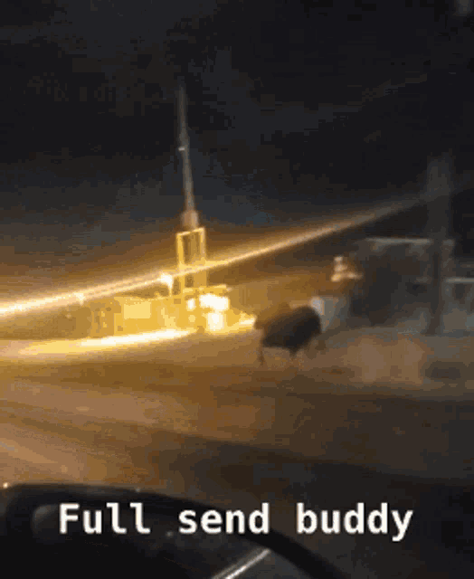Full Send Buddy Canada GIF - Full Send Buddy Canada Moose GIFs