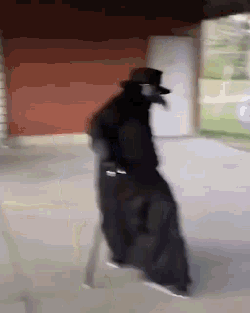 The Plague Doctor The Plaque Doctor GIF - The Plague Doctor The Plaque Doctor Gangsta GIFs