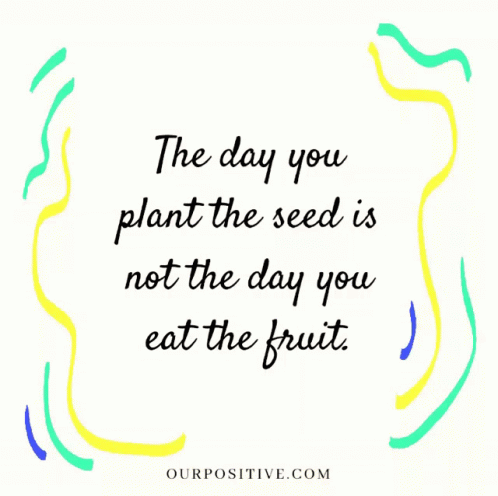 Christian The Day You Plant The Seed GIF - Christian The Day You Plant The Seed Not The Day You Eat The Fruit GIFs