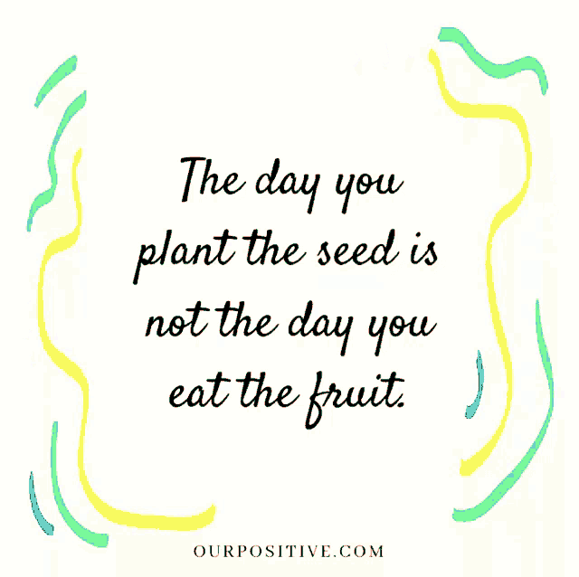 the day you plant the seed is not the day you eat the fruit .