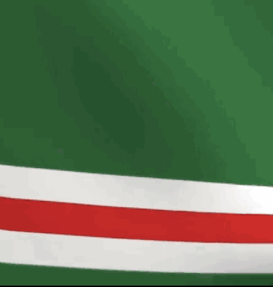 Chechen Flag GIF - Chechen Flag GIFs