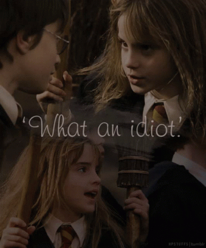 What An Idiot Harry Potter GIF - What An Idiot Harry Potter Hermione Granger GIFs