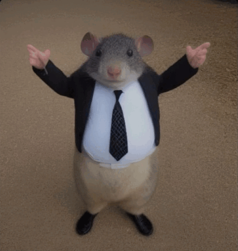 Mr Chedda Mouse GIF - Mr Chedda Mouse Tuxedo GIFs